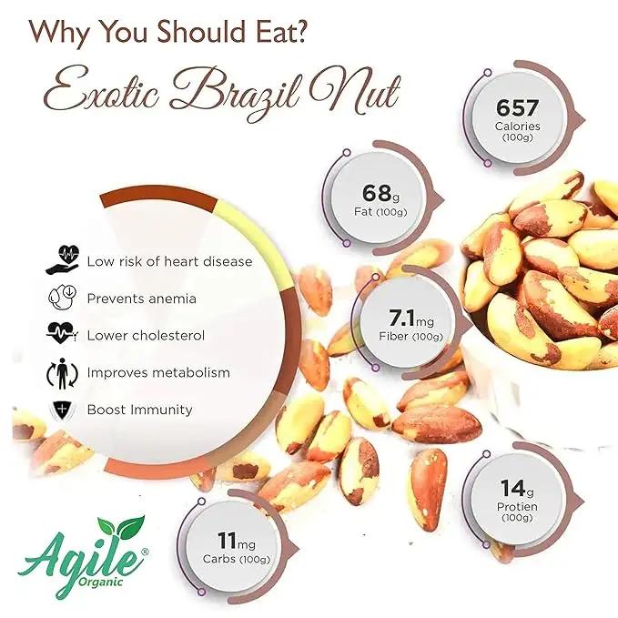 Agile Organic® Jumbo Brazil Nuts Agile Organic