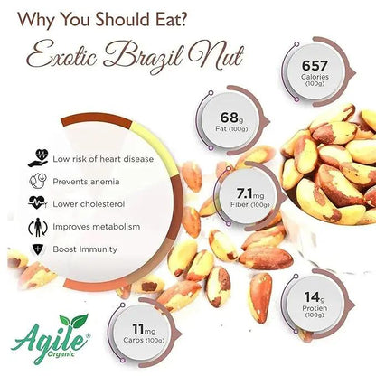 Agile Organic® Jumbo Brazil Nuts Agile Organic